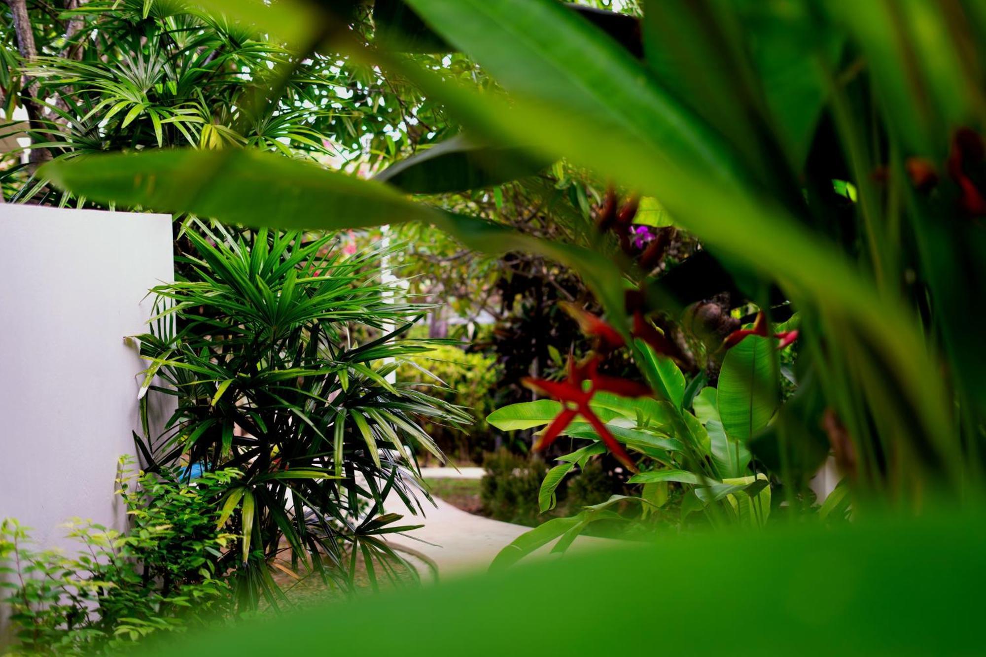 Orchid Lodge Samui - Bed & Breakfast Ламаи-Бич Экстерьер фото