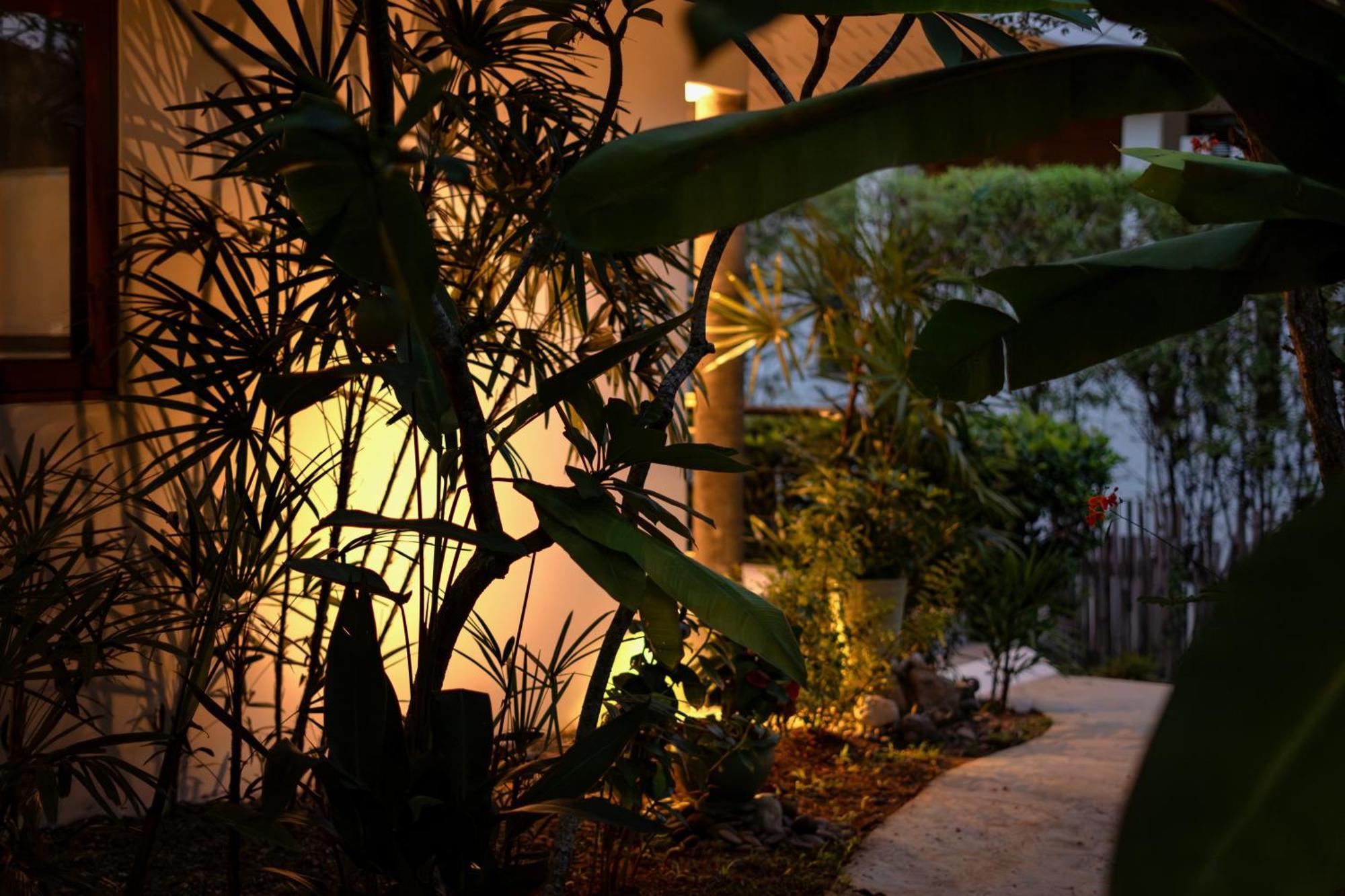 Orchid Lodge Samui - Bed & Breakfast Ламаи-Бич Номер фото
